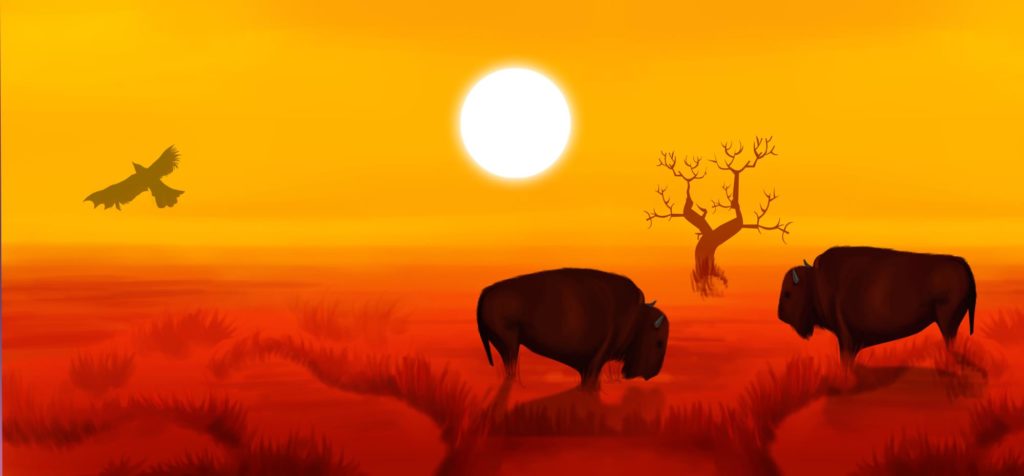 Buffalo Thunder